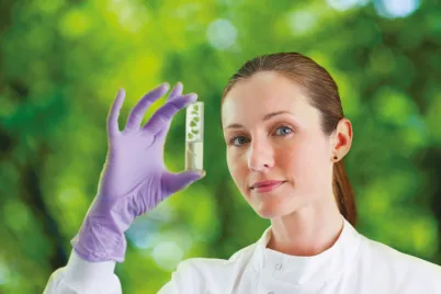 Scientist examining plant in test tube in lab