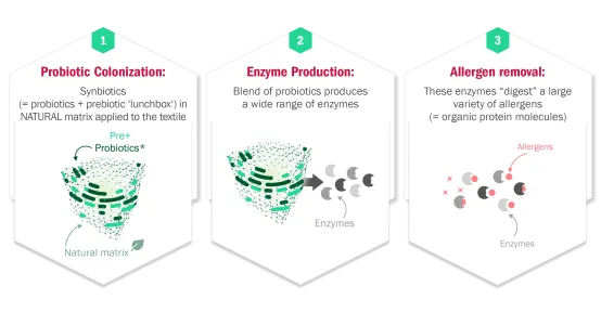 amx heiq allergen tech graphic