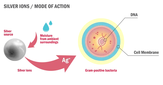 AMX HeiQ Pure graphic 