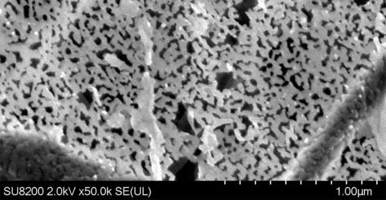 HeiQ GrapheneX SEM image of porous graphene