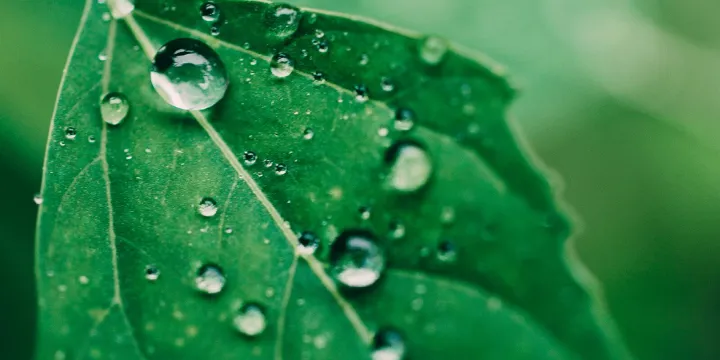 HeiQ Eco Dry - Durable water repellency (DWR) without fluorine
