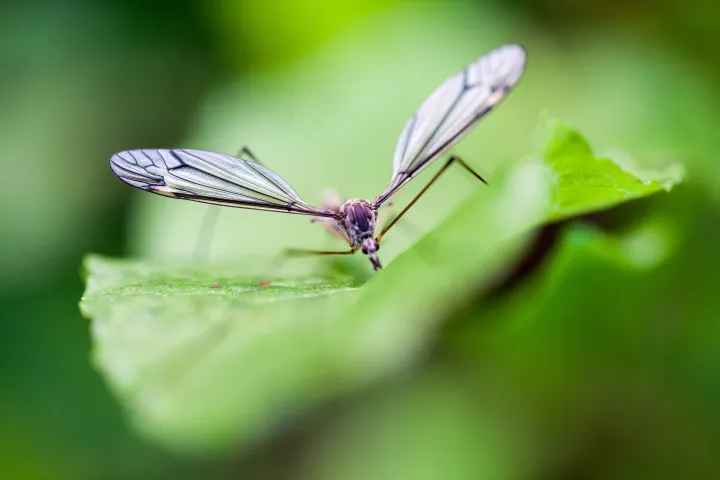shutterstock_406503907 small
