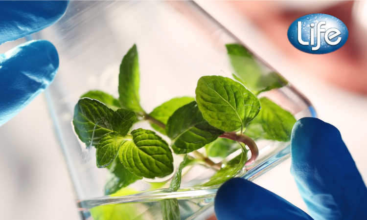 HeiQ acquires LIFE, Hong Kong, extending its penetration into the bio-based antimicrobial market