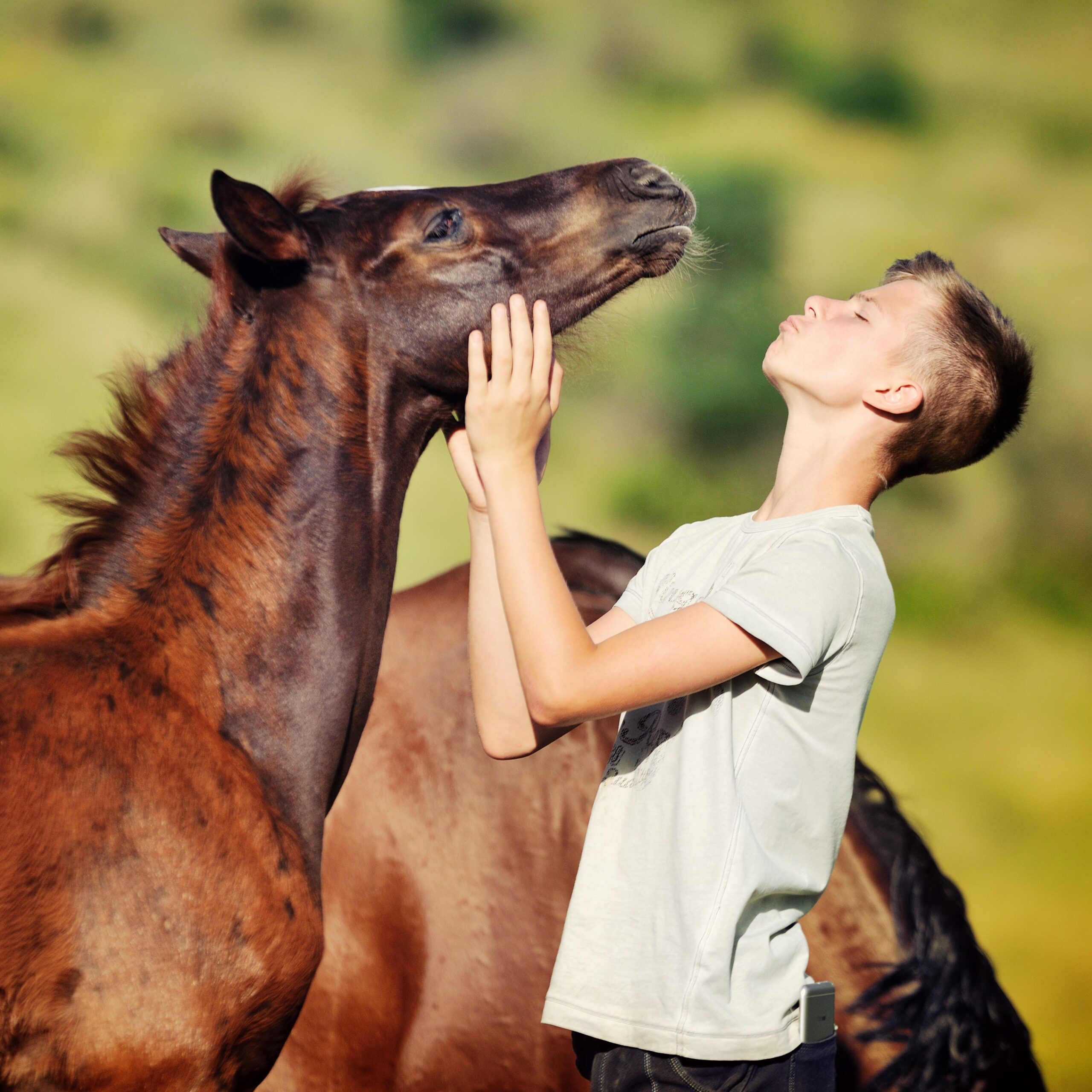 HeiQ Synbio voor gelukkige paarden
