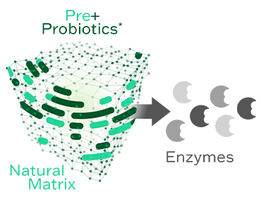 An illustration of the natural matrix with prebiotics and probiotics of HeiQ Allergen Tech releasing enzymes for fabric allergen reduction
